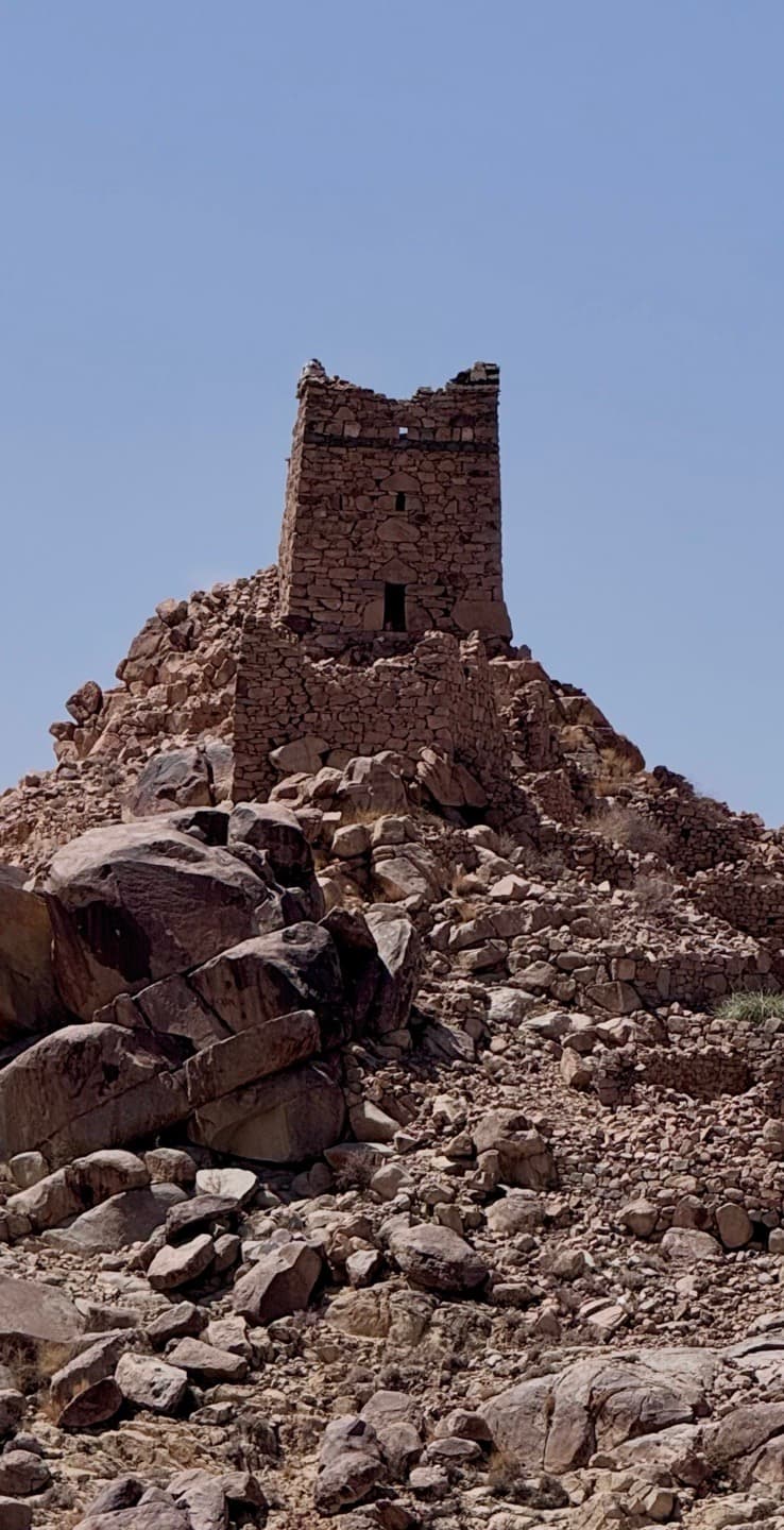 حصن