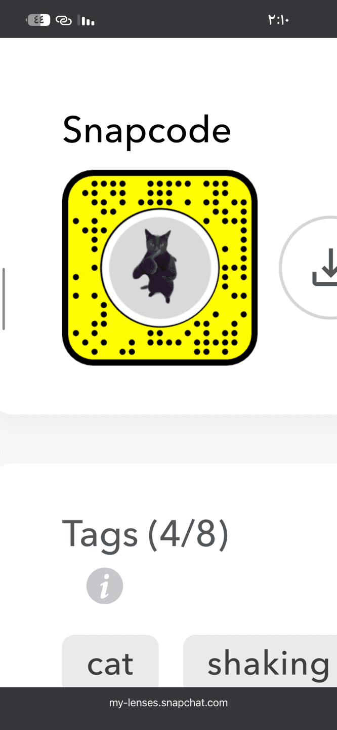 AR CAT
