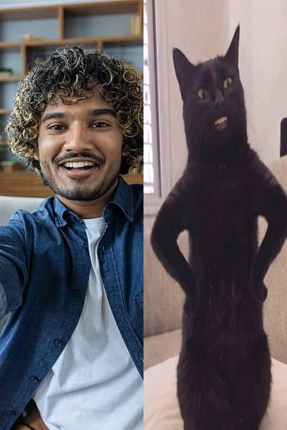 سيلفي قط