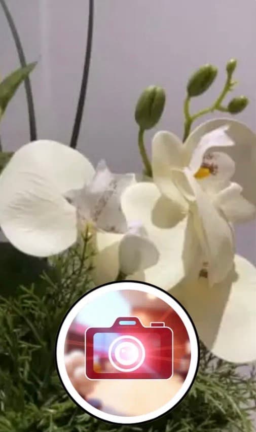 تعزيز الوضوح