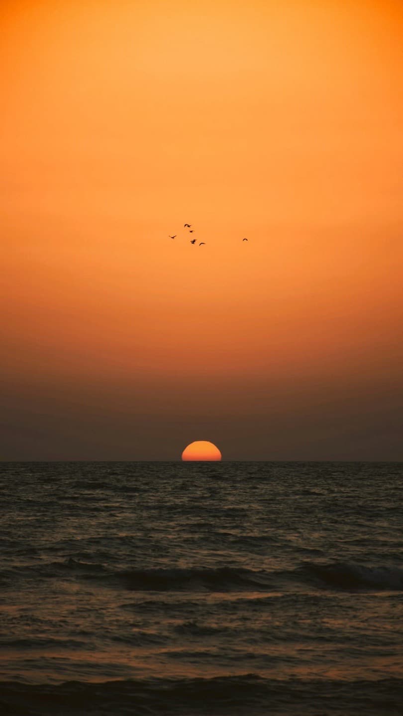 الساعه الذهبيه