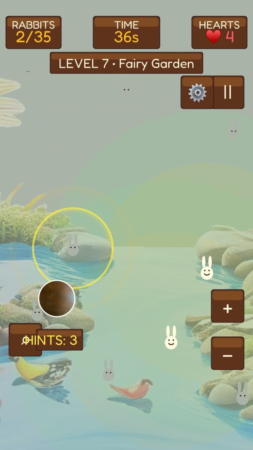 Hidden Rabbits