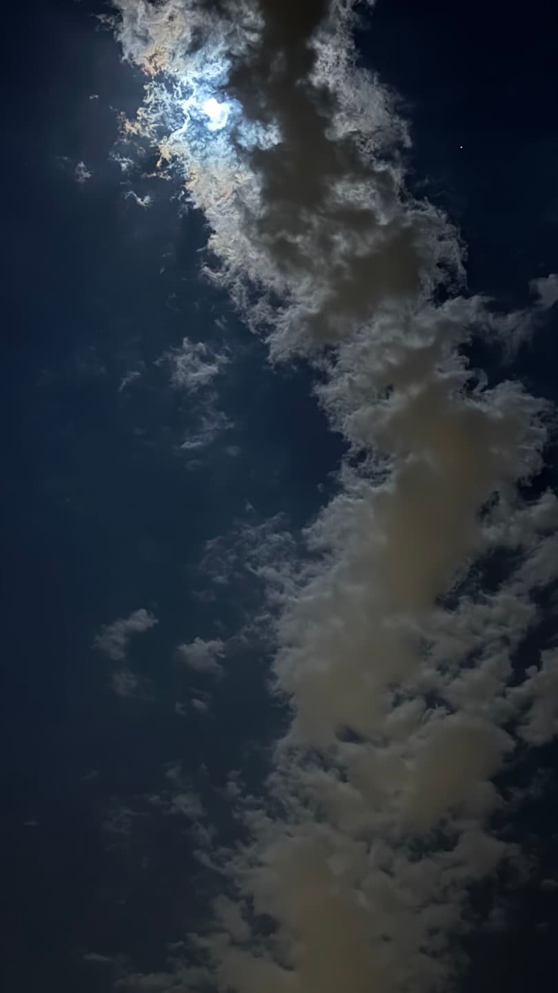 تصوير