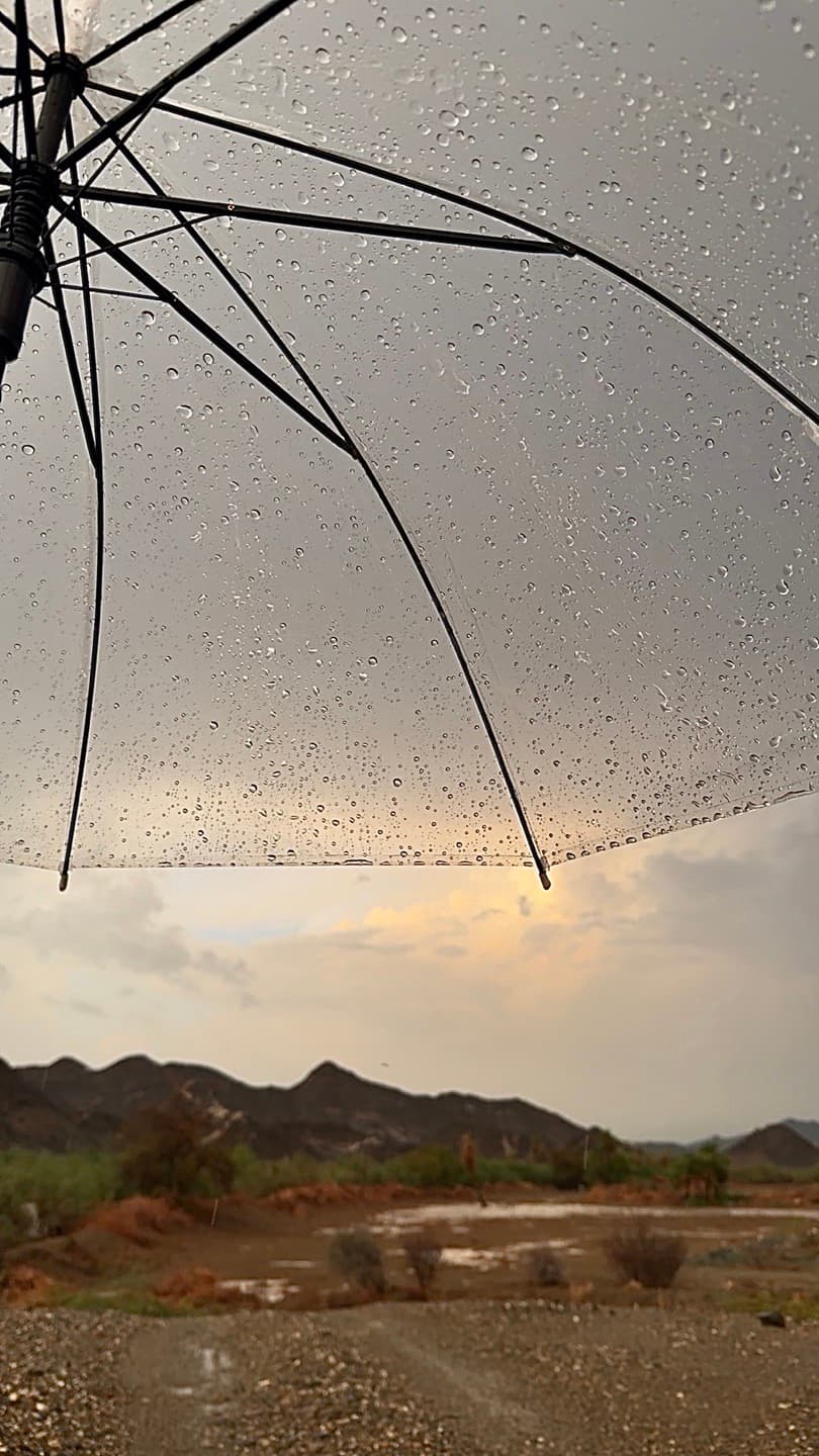 طبيعة