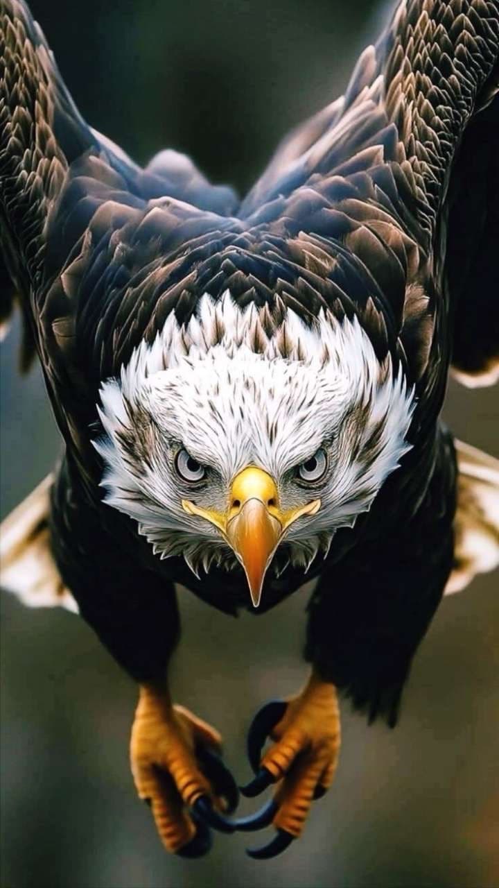 سلطان العتيبي