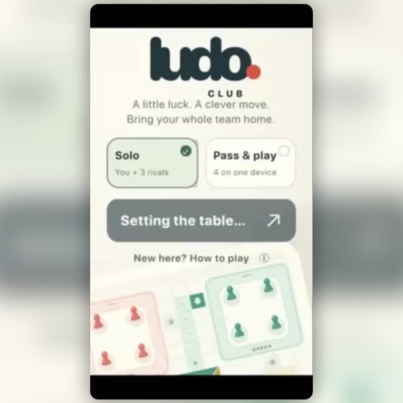 Ludo Race