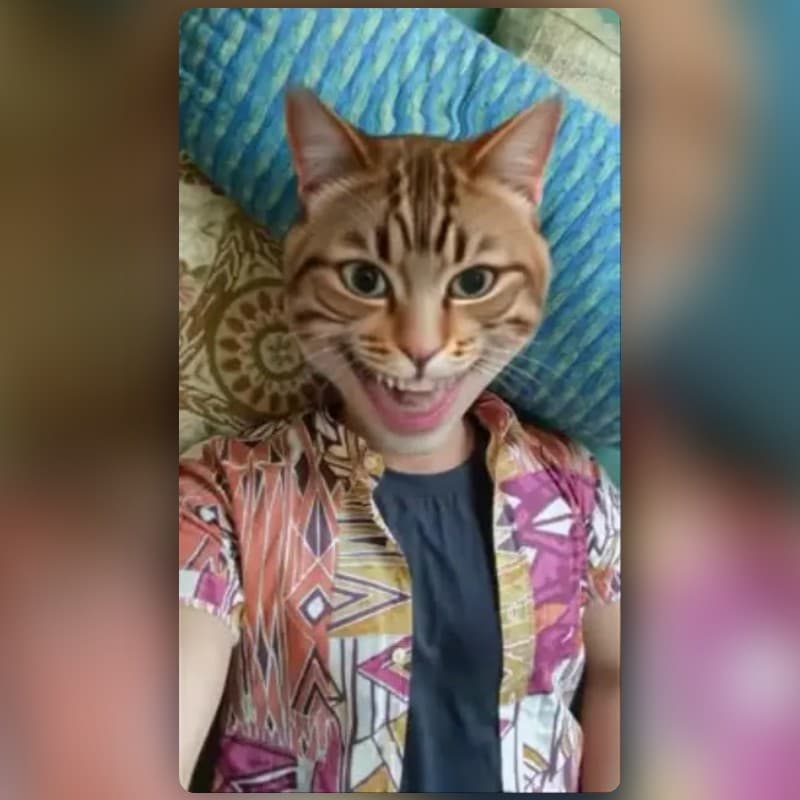 Kitty Face Mask