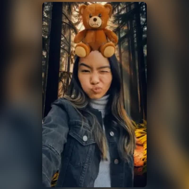 Teddy Forest