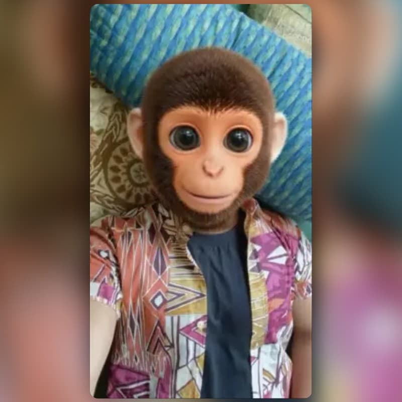 Monkey Face Fun