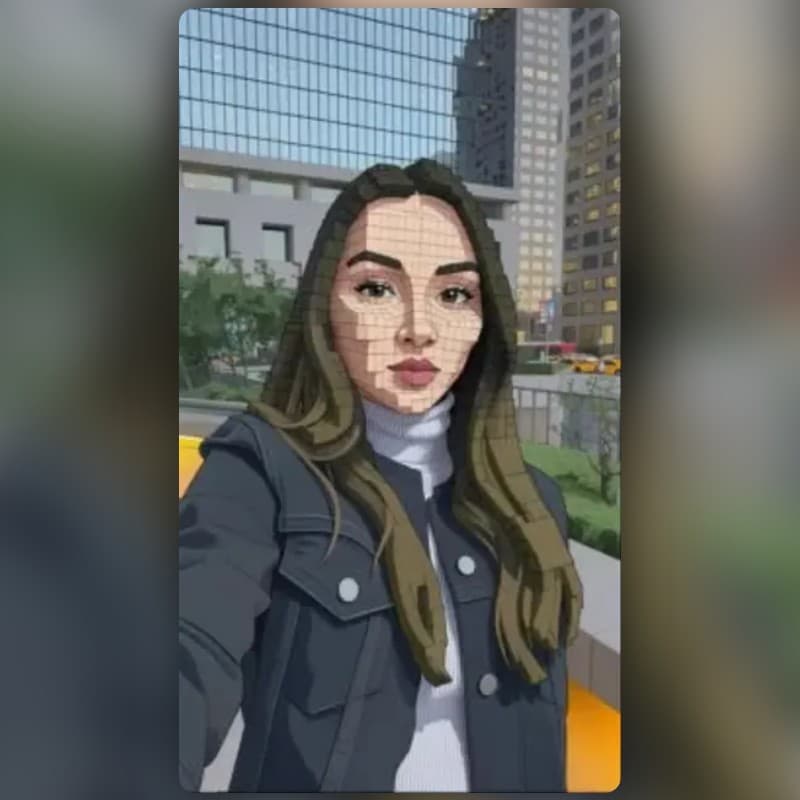 Voxel Face Mask