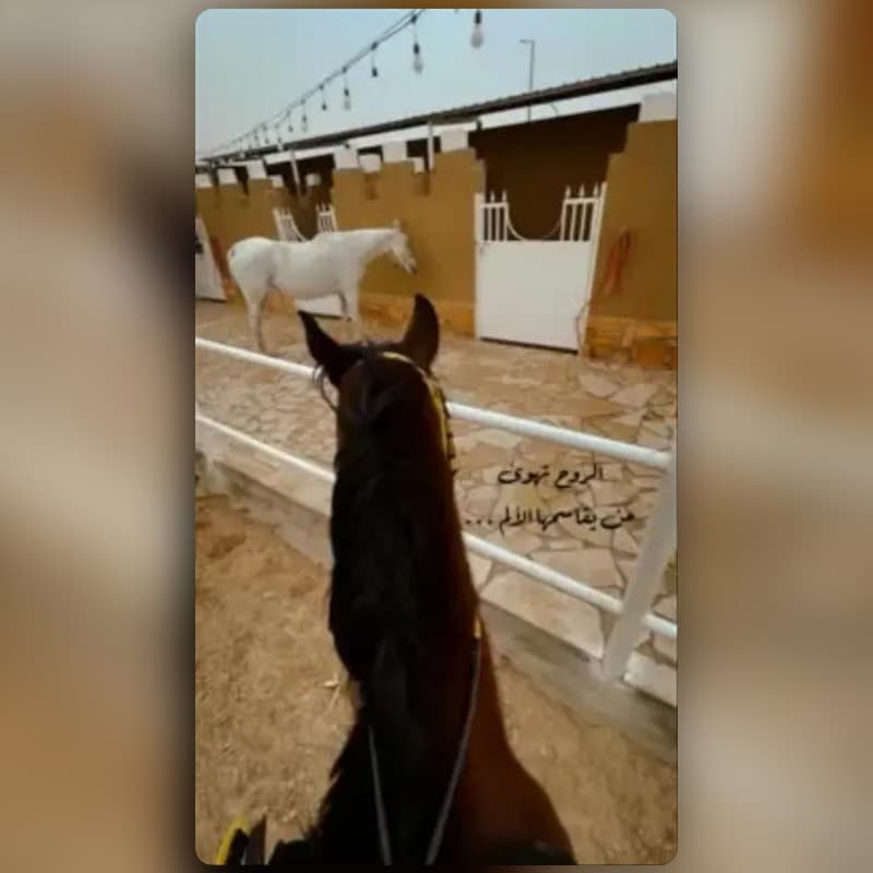 Stable View- K2N🎗️